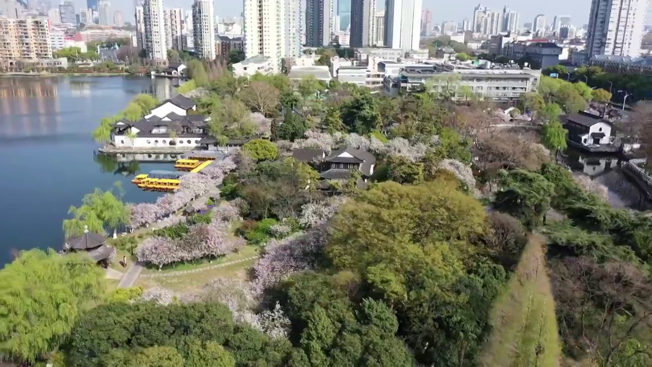 晴朗日光下的南京莫愁湖公园，莫愁湖的春色风光视频素材