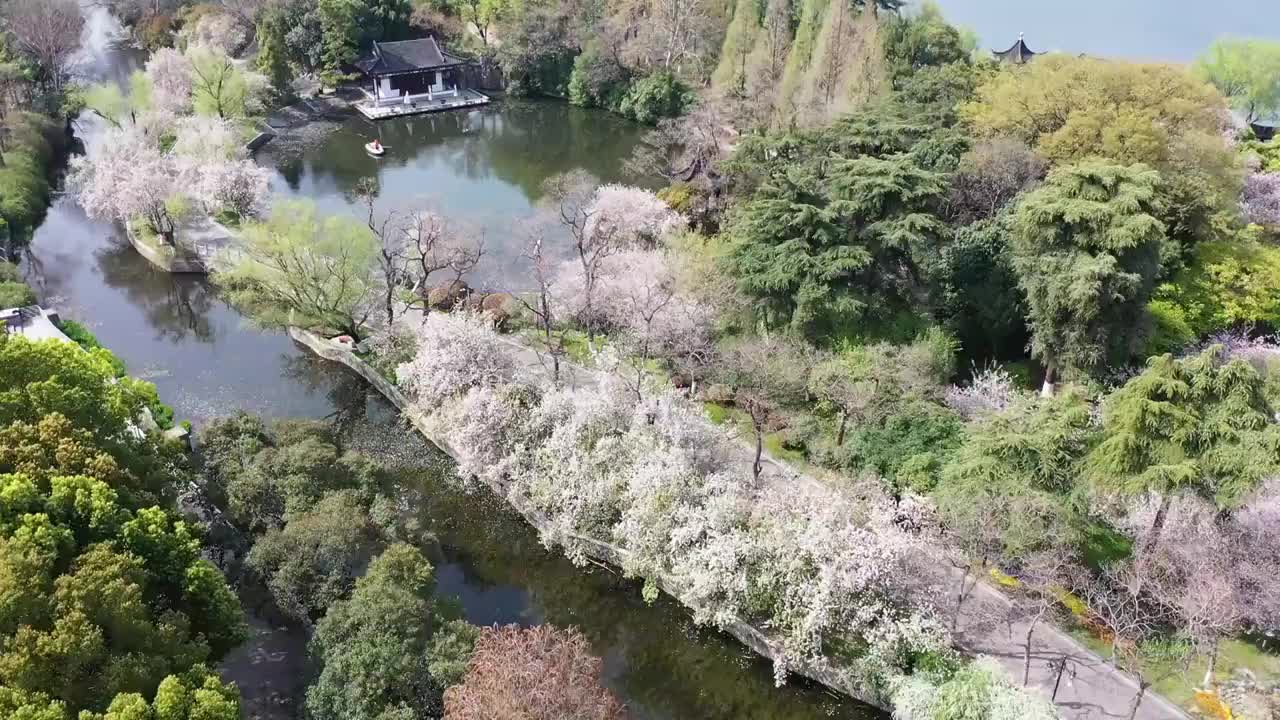 春天南京莫愁湖公园里鲜花盛开，绿意盎然视频素材