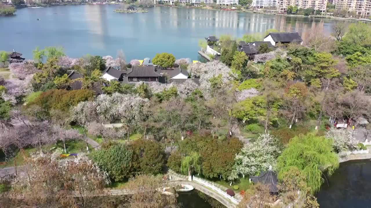 春季南京莫愁湖公园，莫愁湖，南京城市天际线风光视频素材