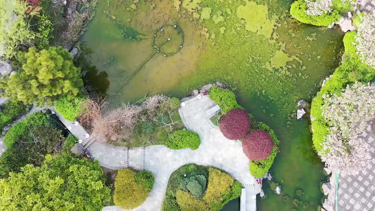 春天南京江宁织造博物馆内的景观视频素材