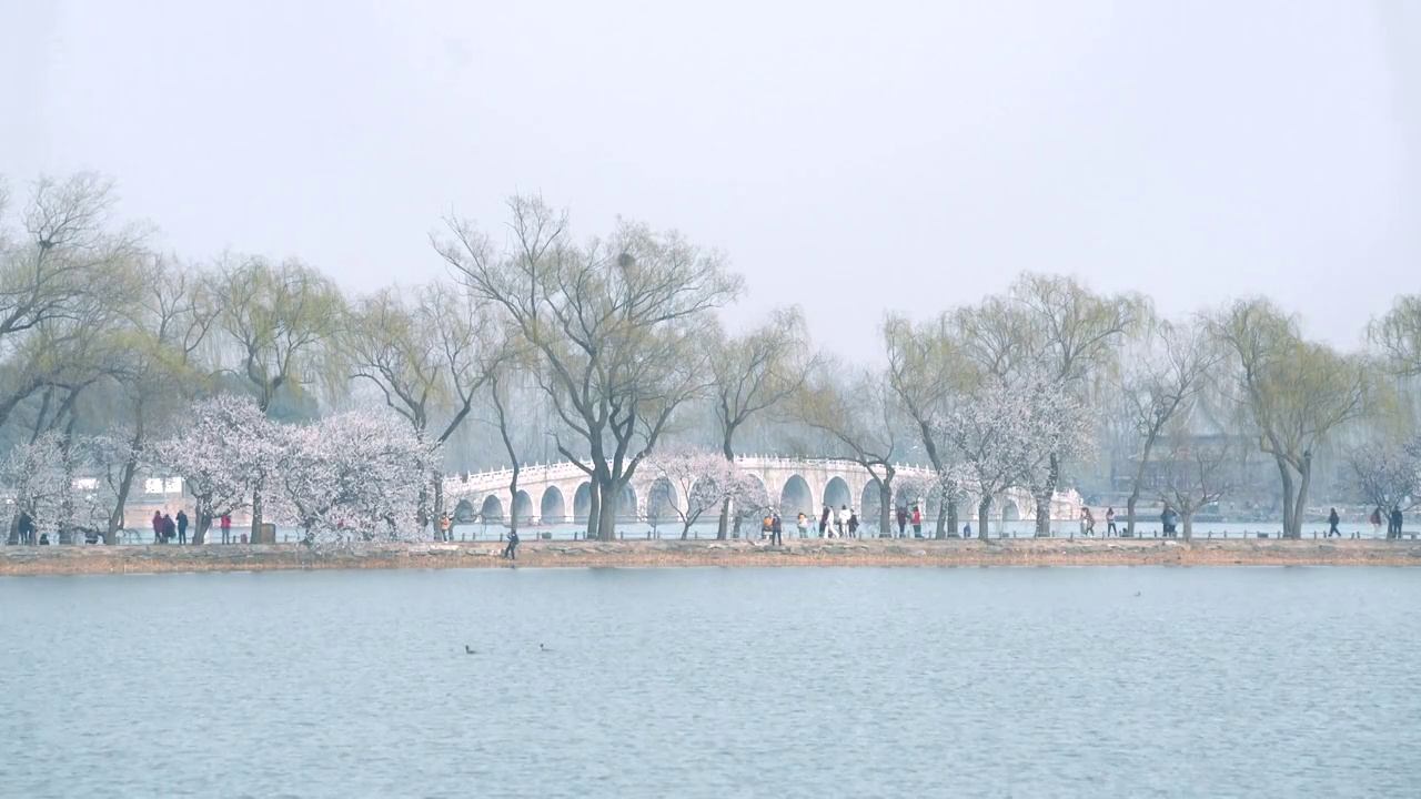 春天北京颐和园春花春景视频素材