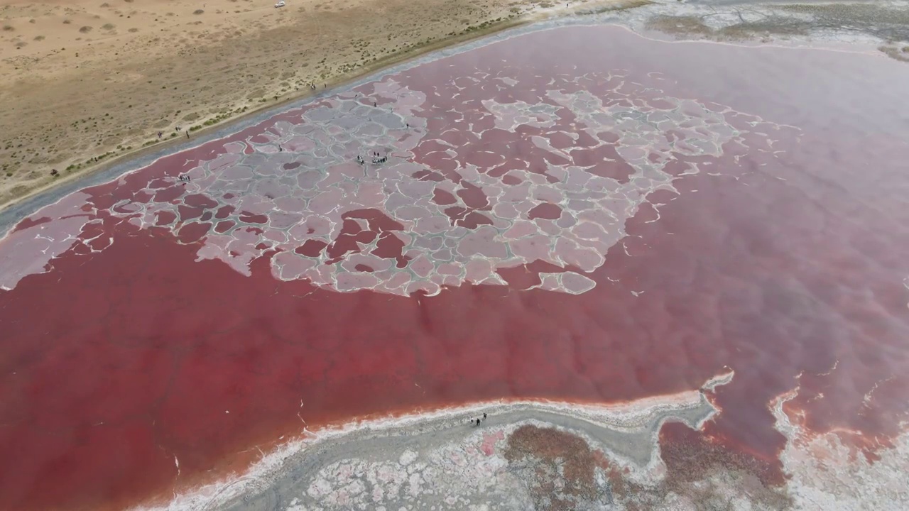 腾格里沙漠-乌兰湖视频素材