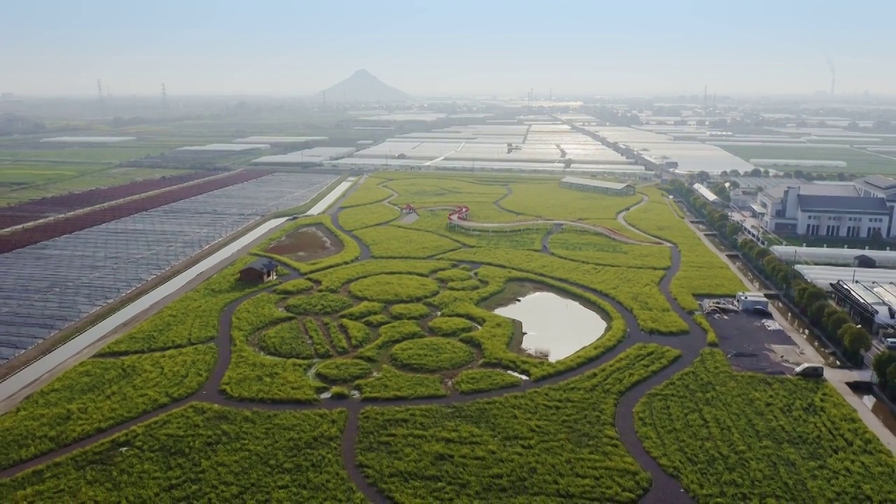 绍兴花梦缘旅游风景区视频素材