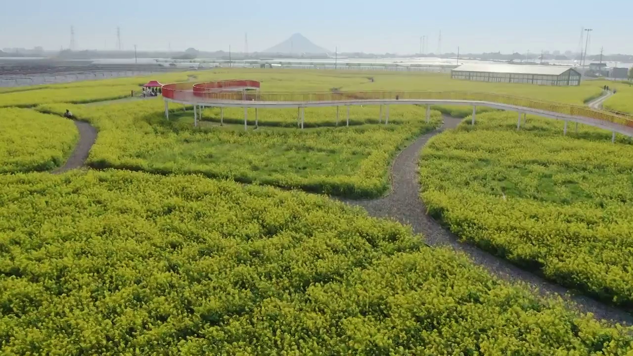 绍兴花梦缘旅游风景区视频素材