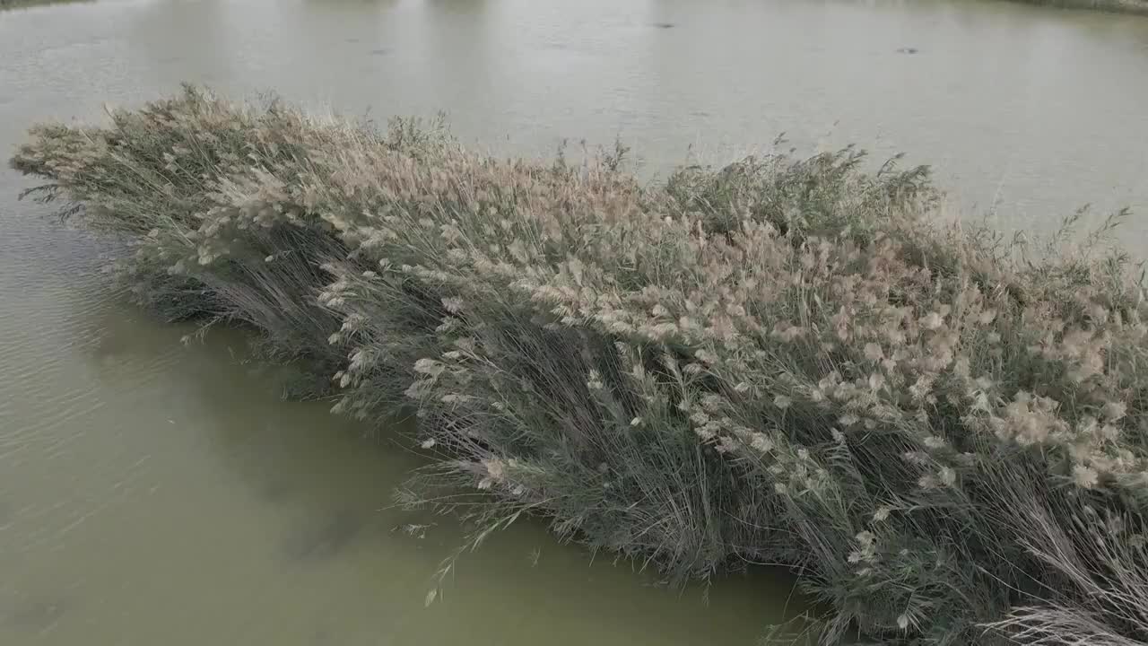 水库视频素材