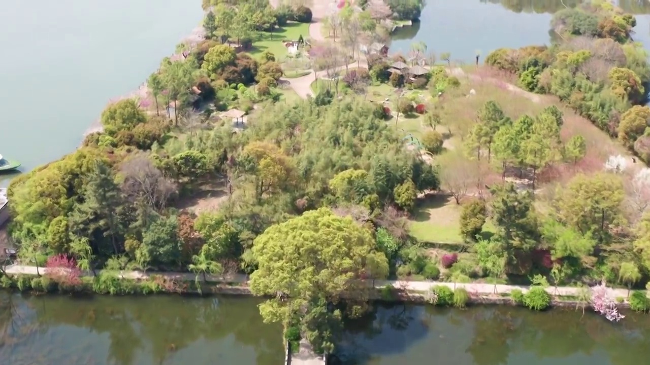 航拍无锡蠡园风景区春天风景视频素材