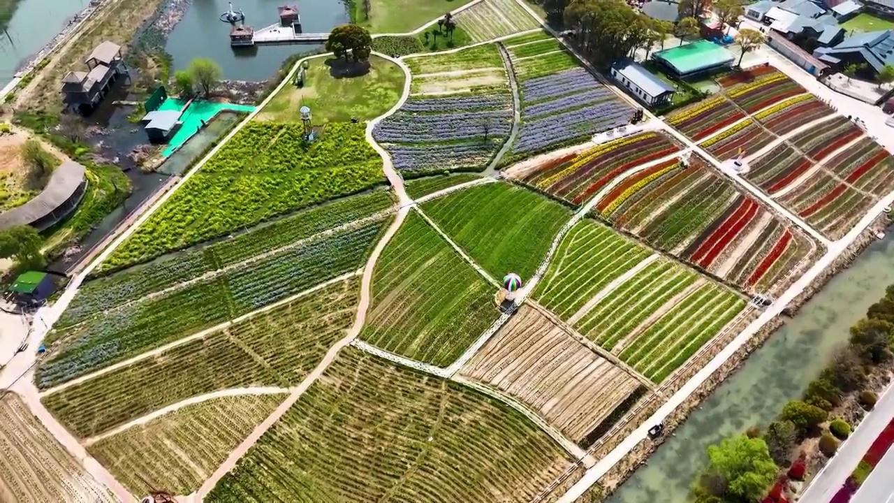 江苏苏州西山岛太湖花海景区视频素材