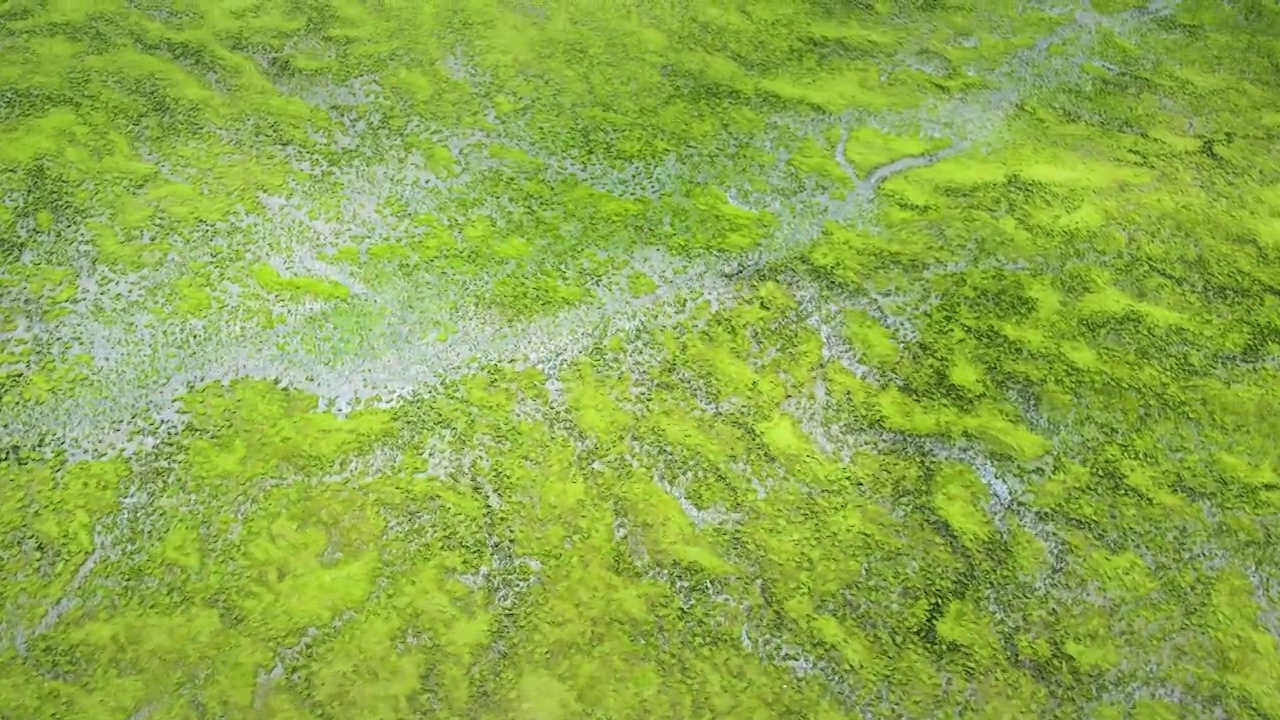 航拍大草原湿地河流纹理视频素材