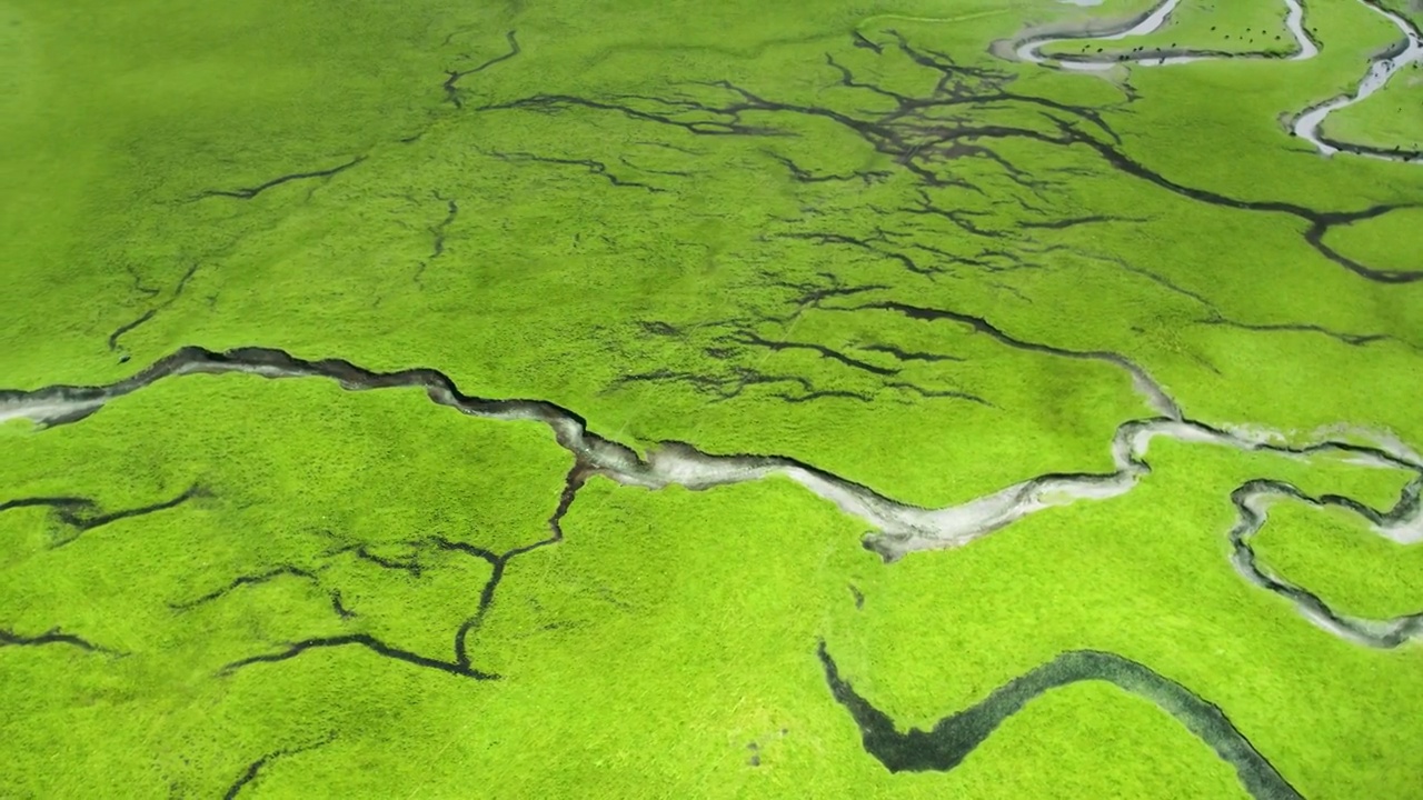 航拍大草原湿地河流纹理视频素材