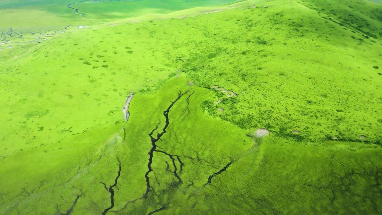 航拍大草原湿地河流纹理视频素材