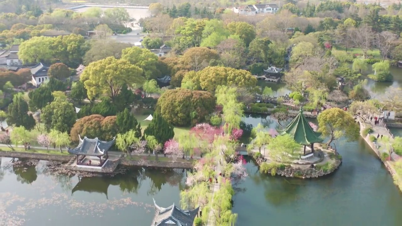 航拍无锡蠡园风景区春天风景视频素材