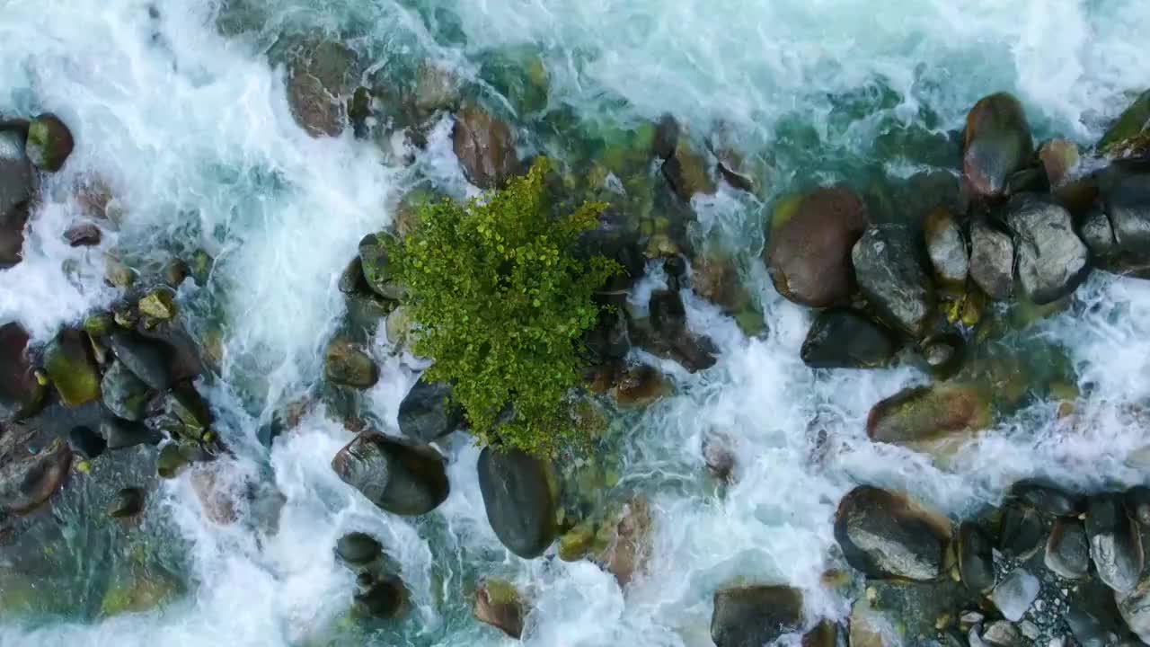 航拍绿色森林清澈蓝色河流视频素材