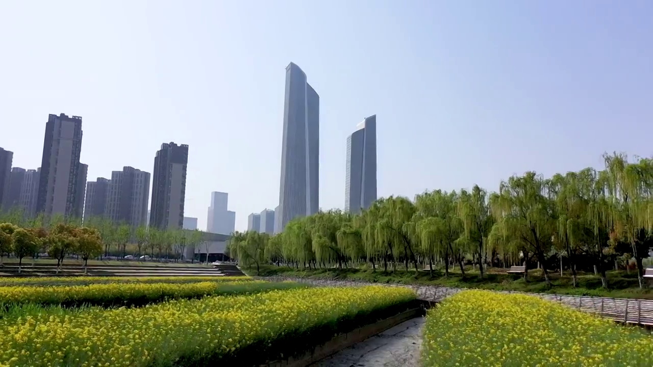 南京河西南京眼旅游区临江公园，南京河西奥体双子塔，油菜花开放的城市田园风光视频素材