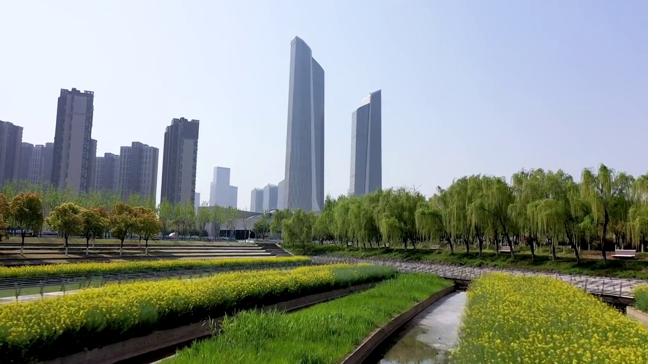 南京河西奥体双子塔，南京河西南京眼旅游区临江公园，油菜花盛开的田园风光视频素材