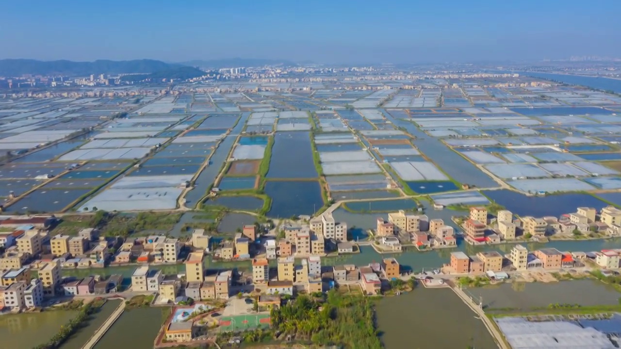 珠海市金湾区红旗镇成益围水产场视频素材