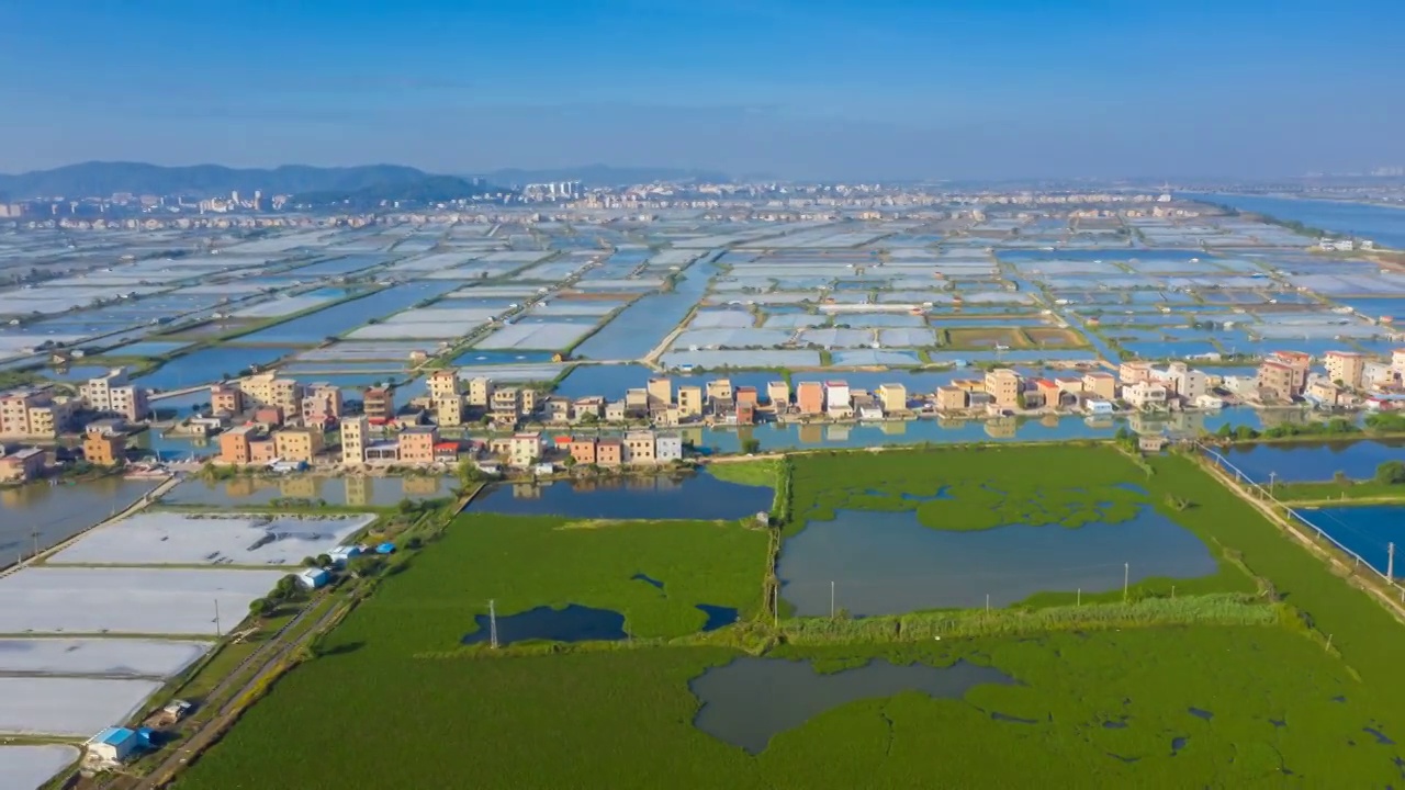 珠海市金湾区红旗镇成益围水产场视频素材