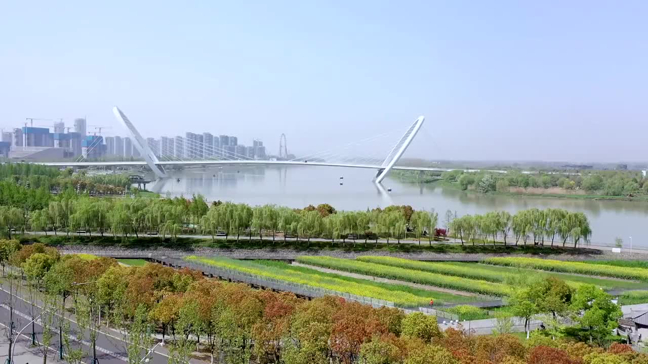 南京河西南京眼旅游区临江公园，南京眼步行桥和油菜花的田园风光视频素材