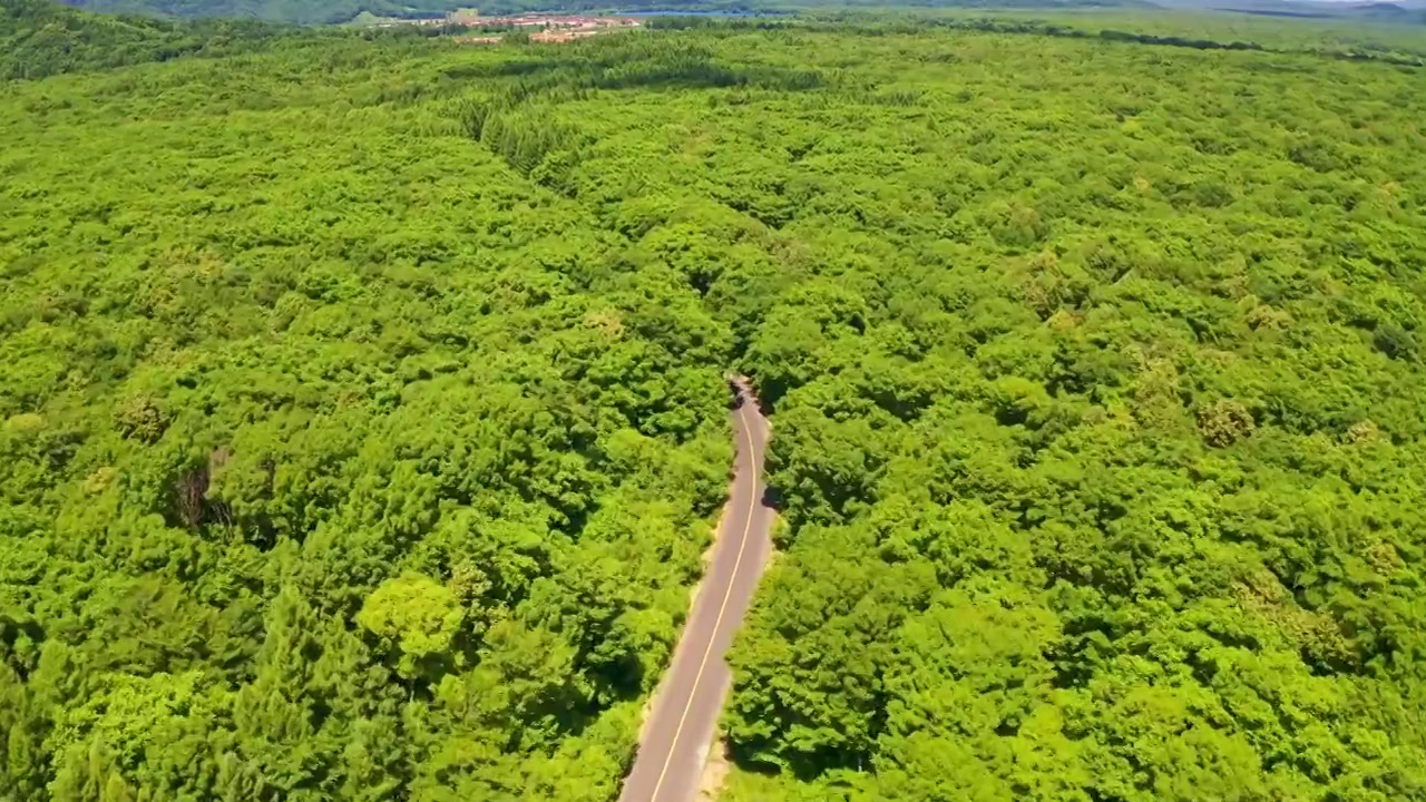 航拍自驾游汽车在森林中的公路上行驶视频素材