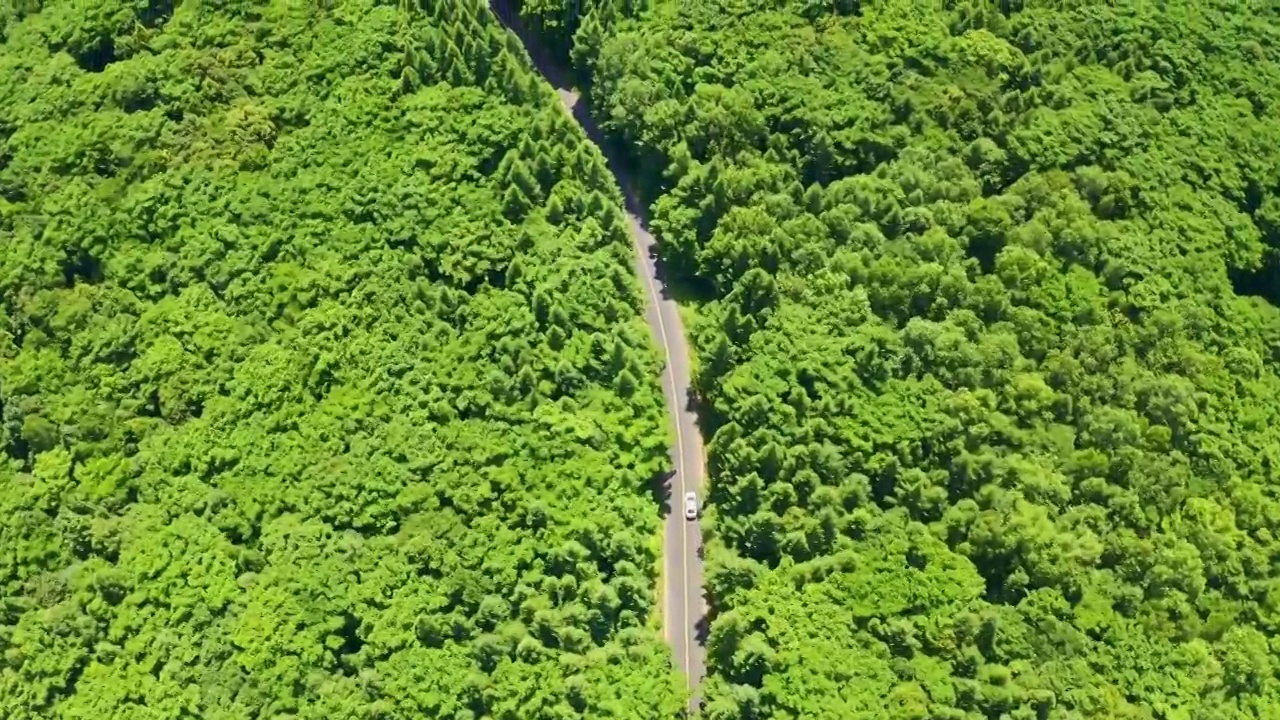 航拍自驾游汽车在森林中的公路上行驶视频素材