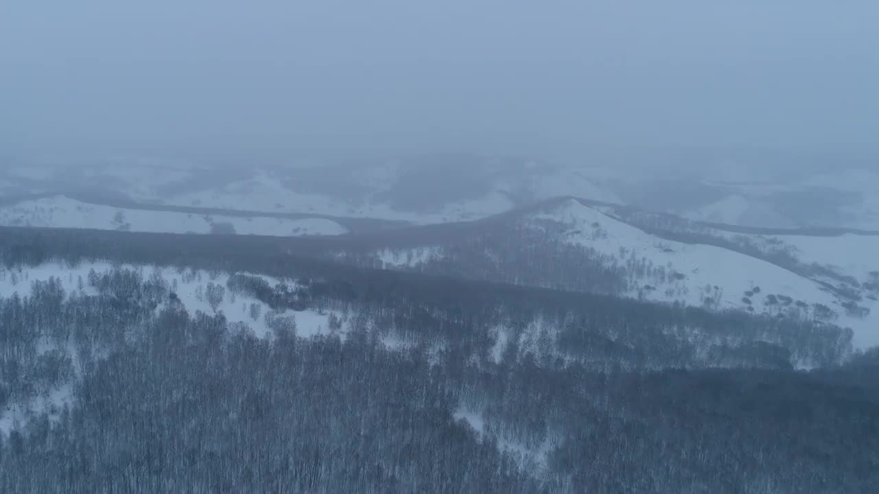 航拍大兴安岭冬季林海雪原风光视频素材