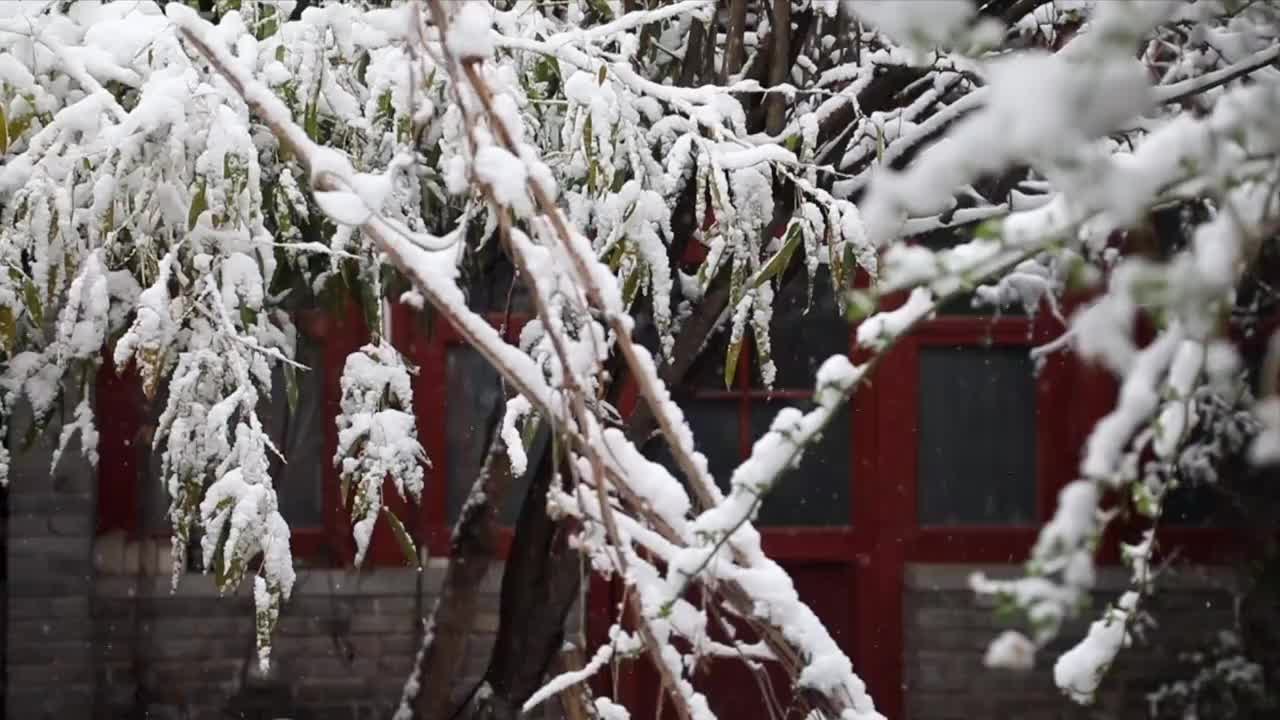 胡同雪景视频素材