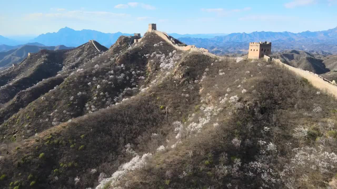 航拍春季长城司马台长城杏花盛开春天春色视频素材