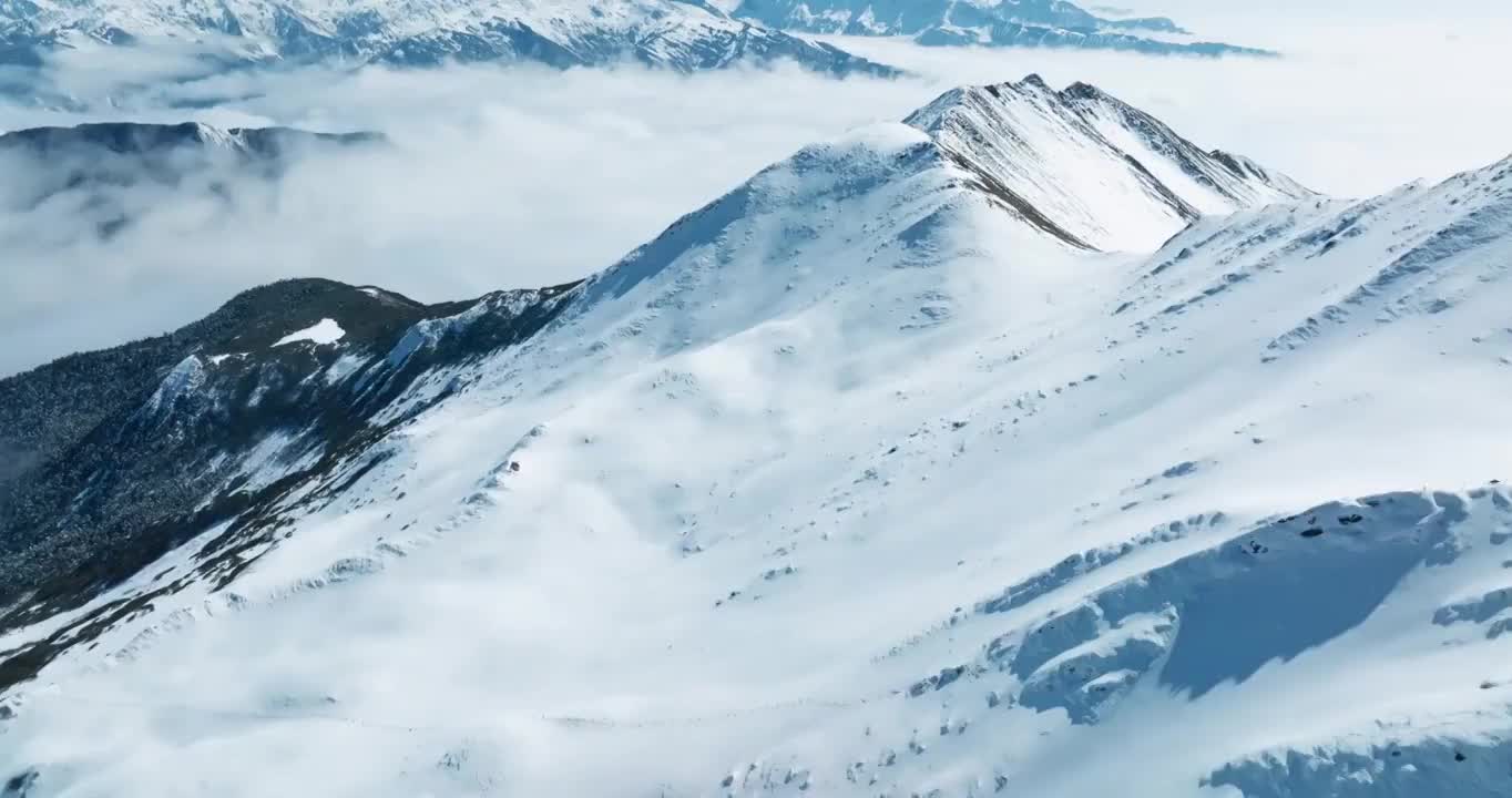 四川小金县夹金山的航拍镜头雪山云海美丽自然风景视频素材