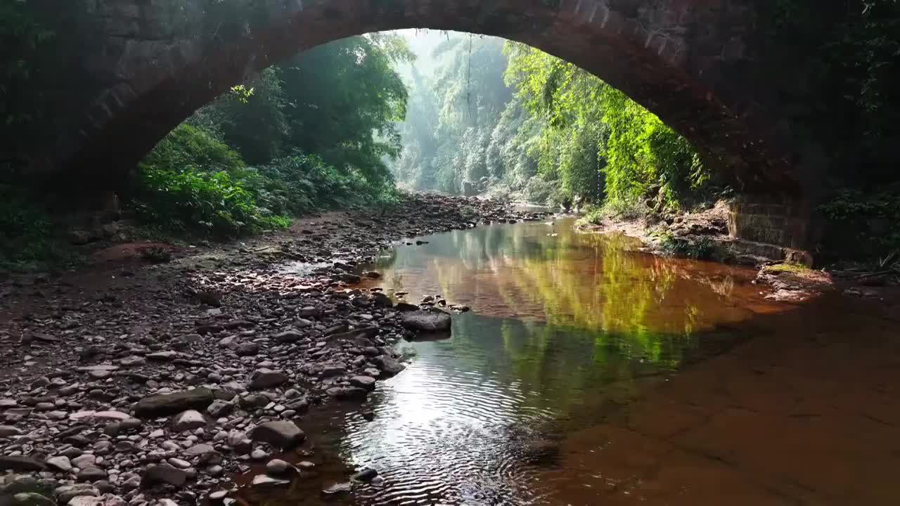 山林小溪竹林航拍视频素材