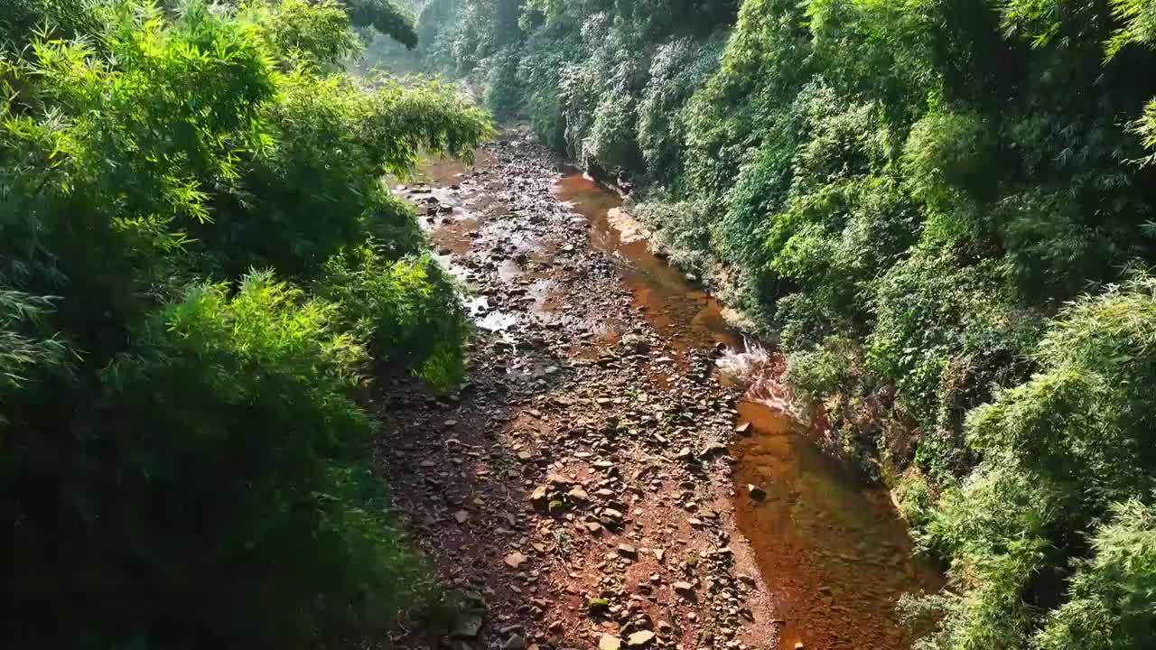 山林小溪竹林航拍视频素材