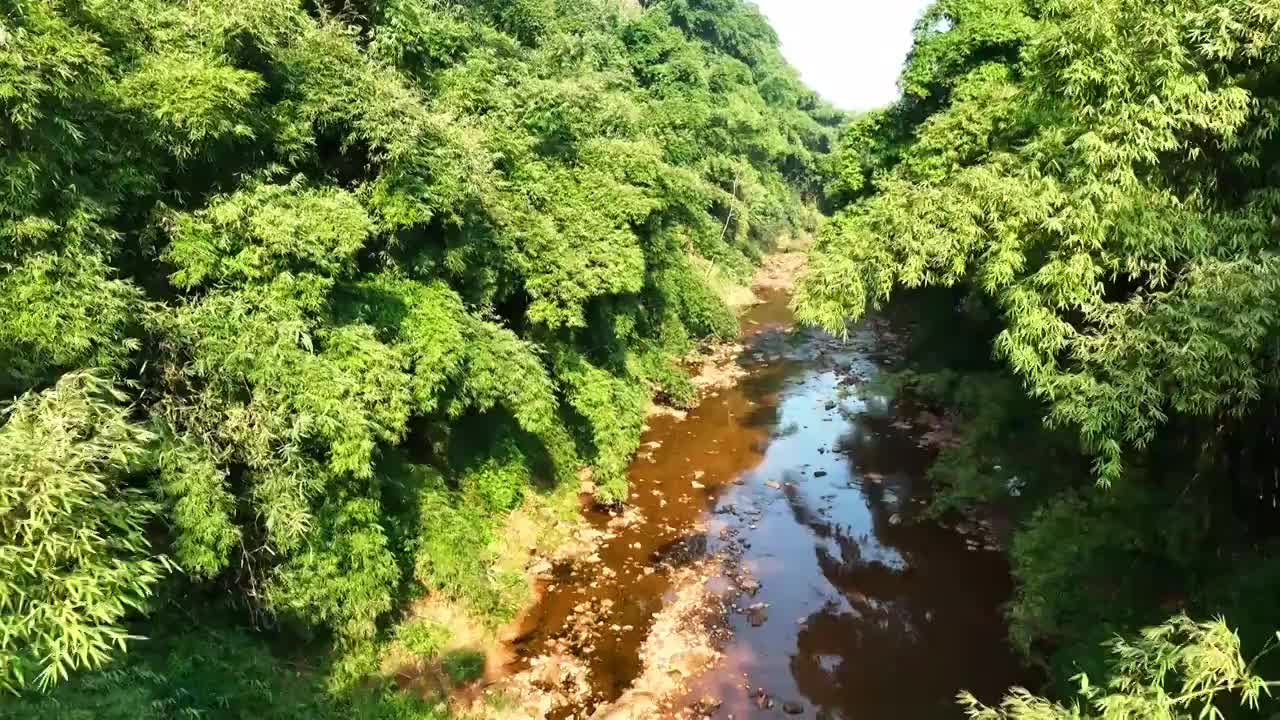 山林小溪竹林航拍视频素材