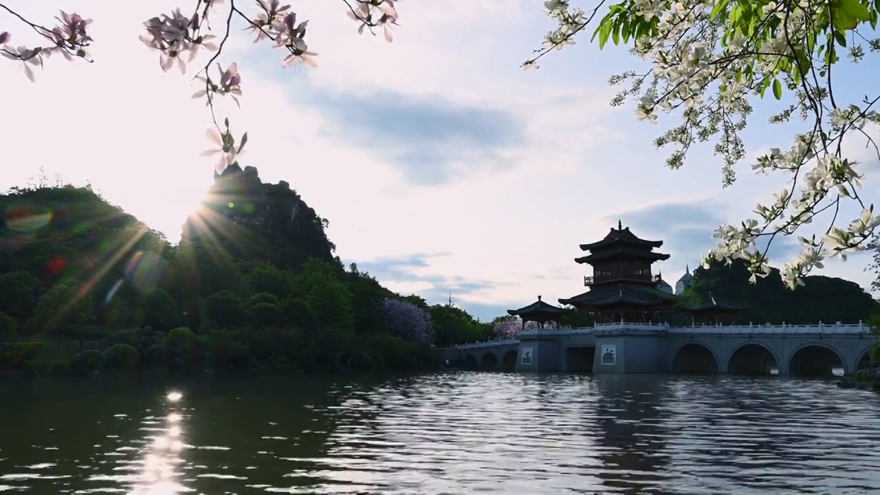 夕阳下桂林山水公园的山和湖面上盛开的紫荆花视频素材