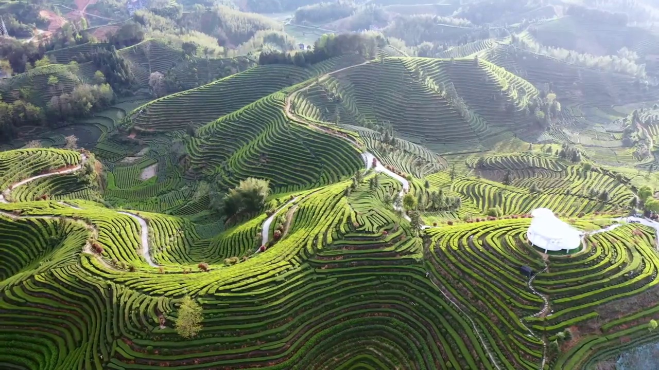 茶园里的白建筑视频素材