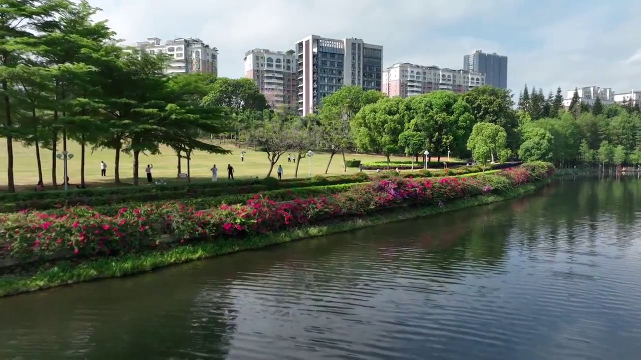 航拍城市公园居民晨练休闲生活视频素材