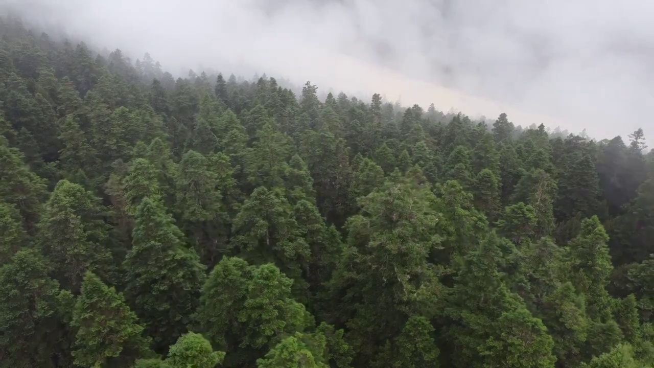 黄龙风景名胜区（中国5A级旅游景区）视频素材