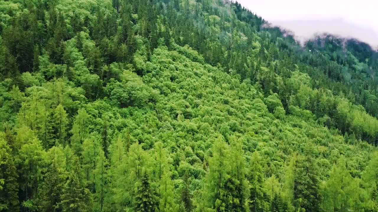 中国四川川西四姑娘山风景名胜区视频素材