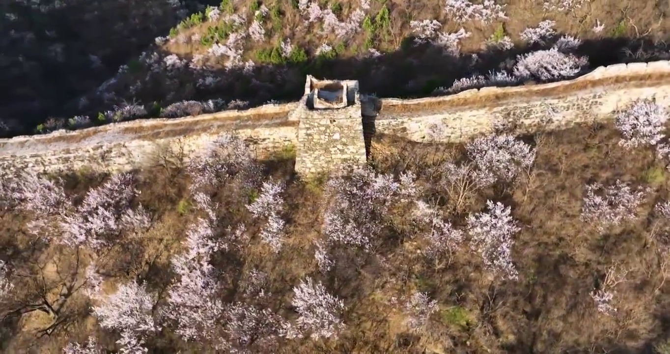 北京怀柔河防口长城花海视频素材