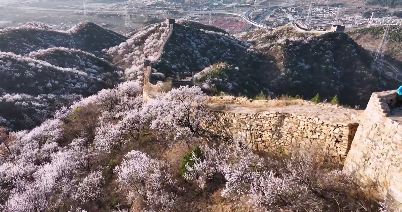 北京怀柔河防口长城花海视频素材