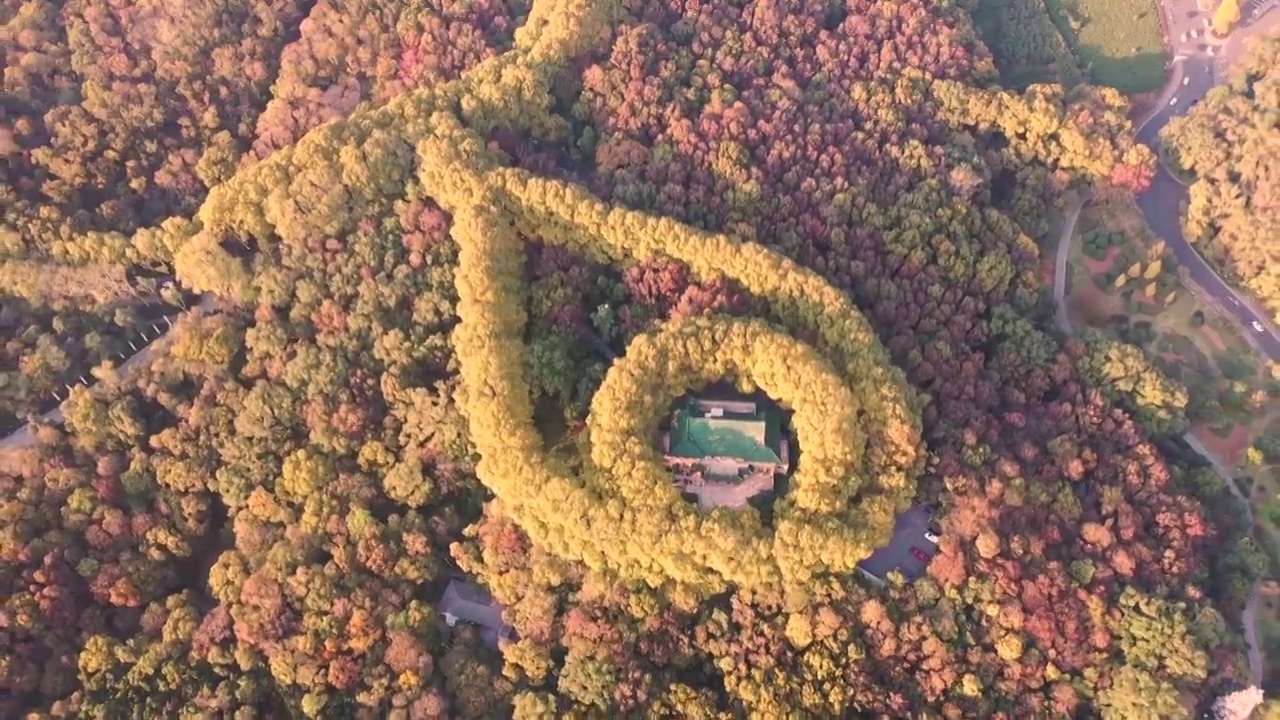 秋季南京钟山风景区，美龄宫的秋色航拍风光视频素材