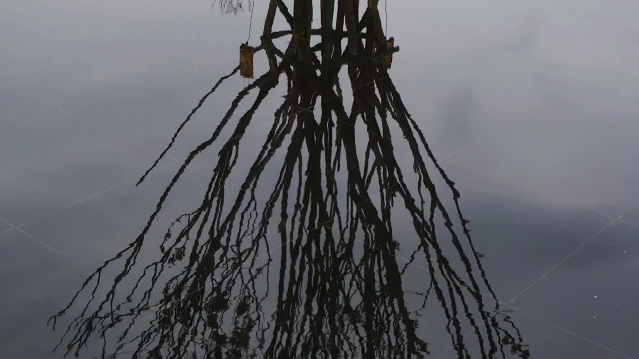 四川绵阳，水滴，喷泉，雨水，特写，水，倒影视频素材