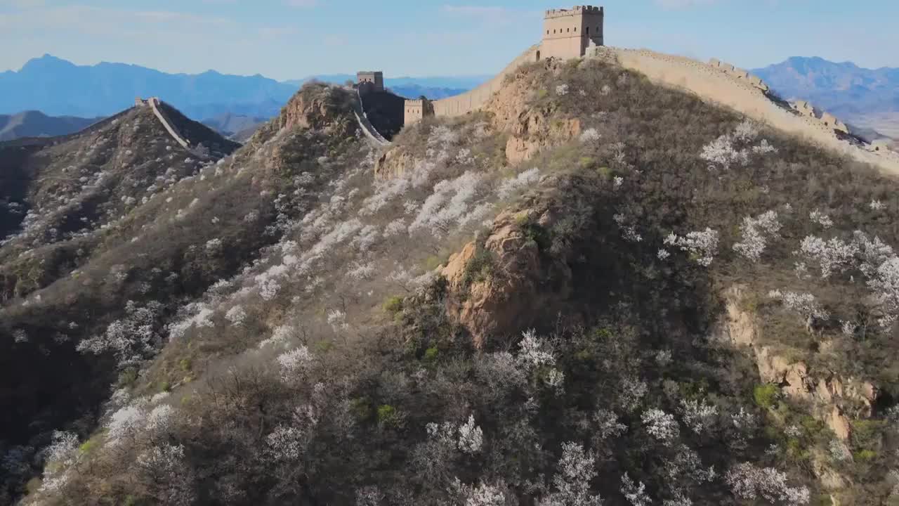 长城春季花开满山航拍长城春色合集视频素材