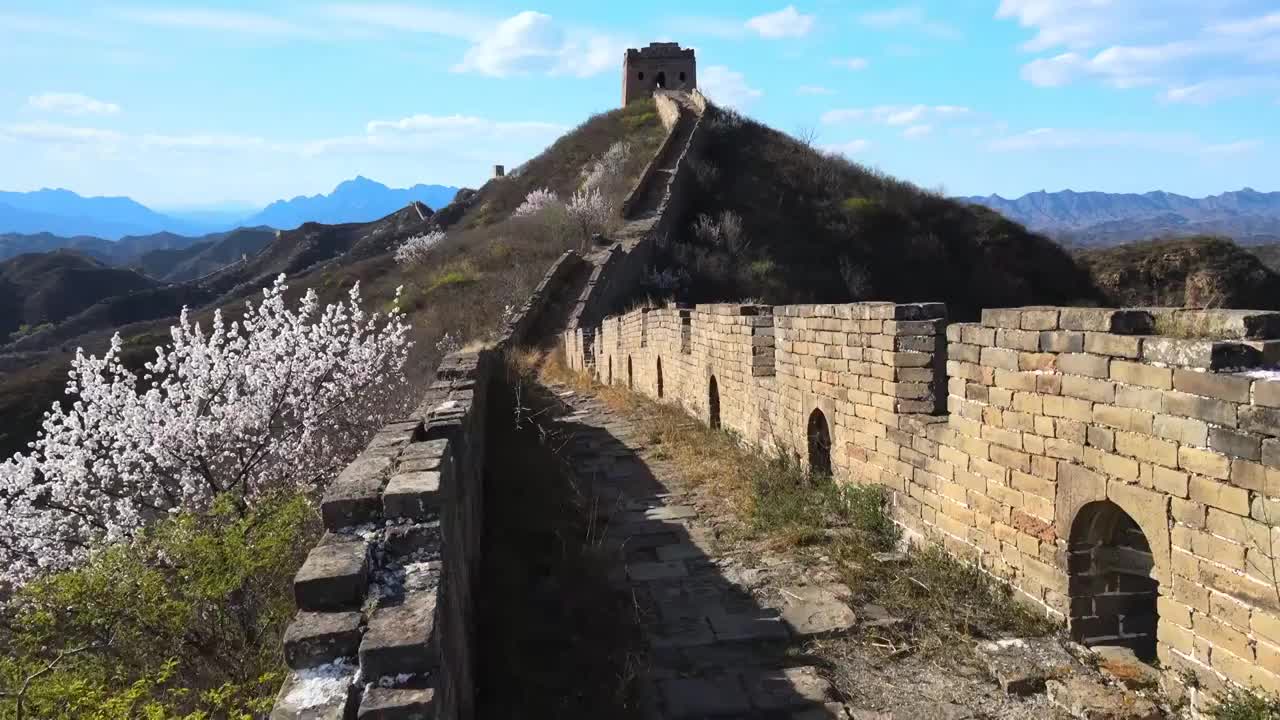 长城春季花开满山航拍长城春色合集视频素材