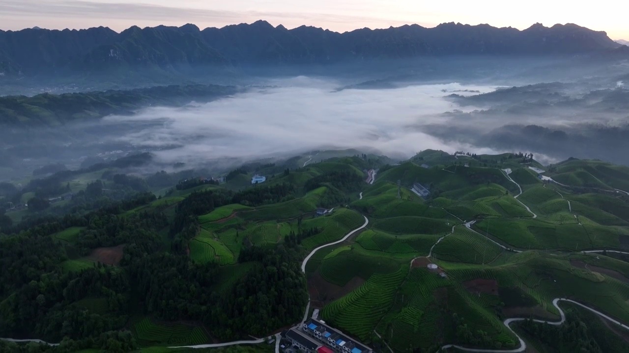 “中国十佳最美茶园”：湖北恩施州鹤峰木耳山宛若仙境成游客打卡地视频素材