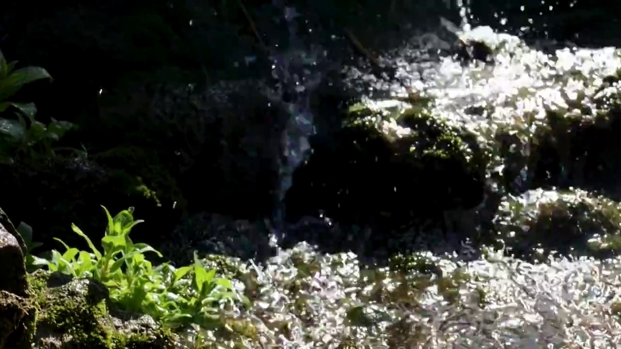 瀑布小溪流青苔生机流水潺潺升格展示视频素材