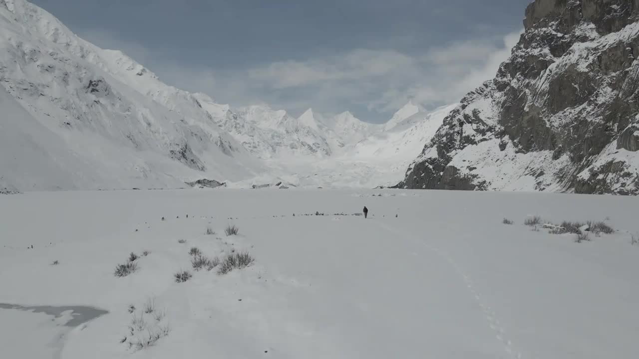 雪白世界视频素材