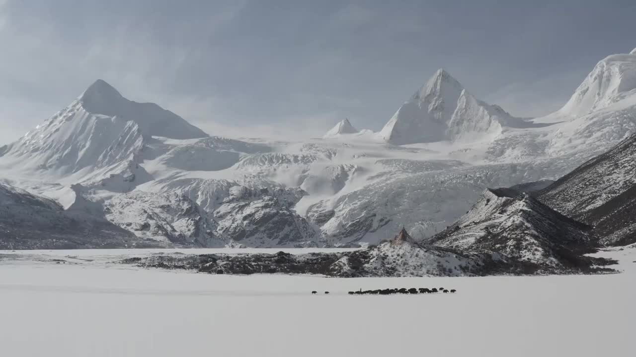 雪白世界视频素材