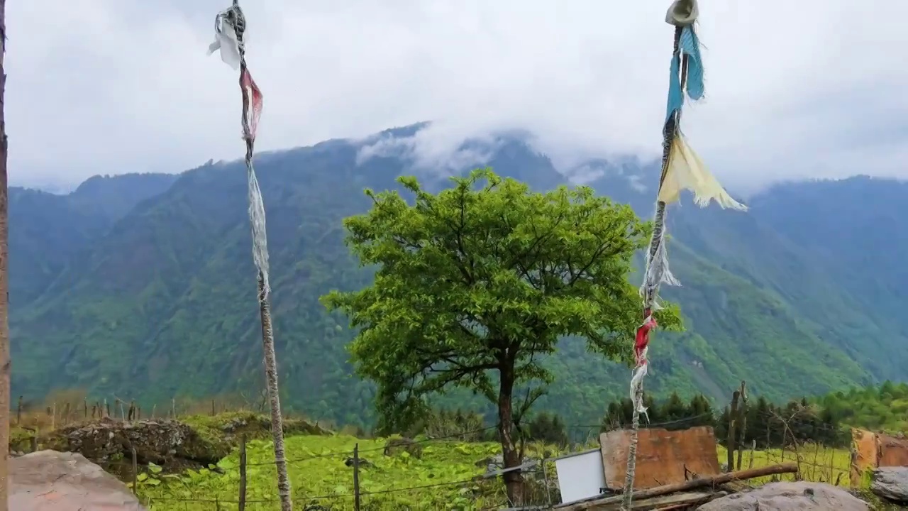 阿坝高原风光视频素材