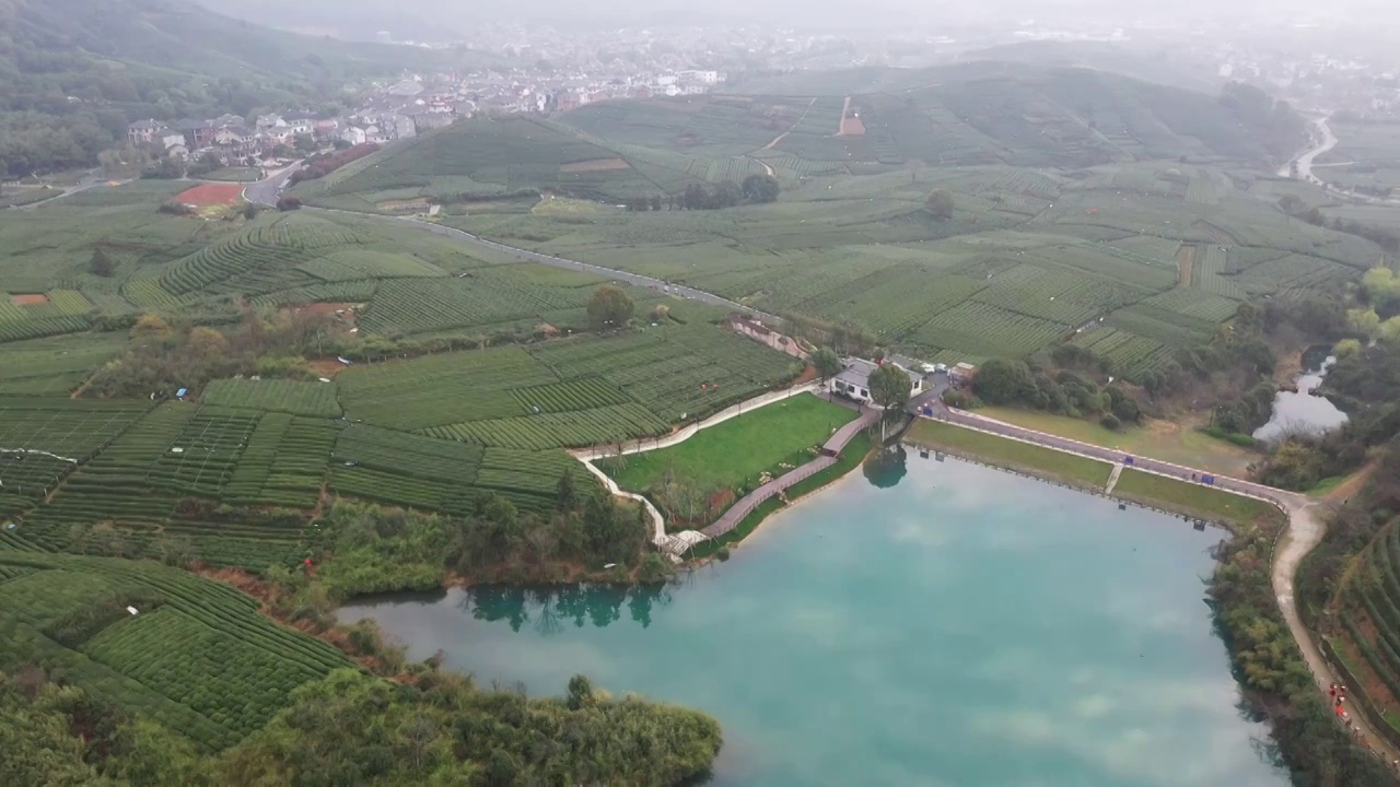 西湖龙井茶园视频素材