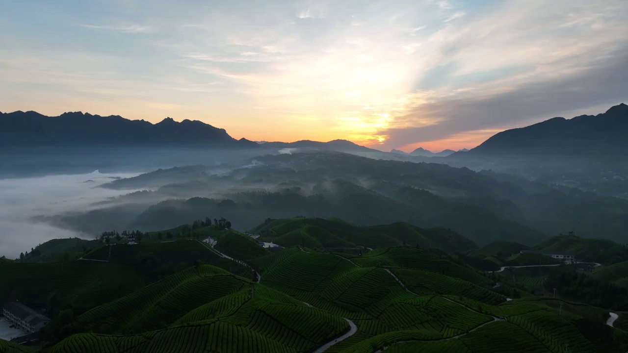 最美茶园---鹤峰木耳山茶园视频素材