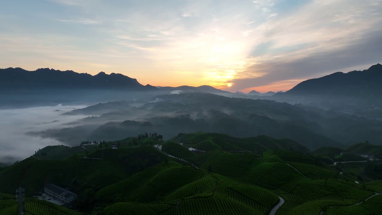 最美茶园--鹤峰木耳山茶园视频下载