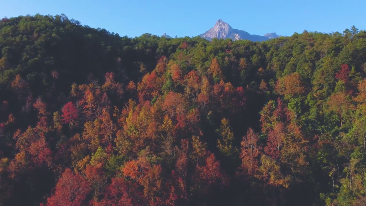 广东韶关云髻山，枫林视频素材